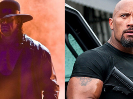 the undertaker, the rock