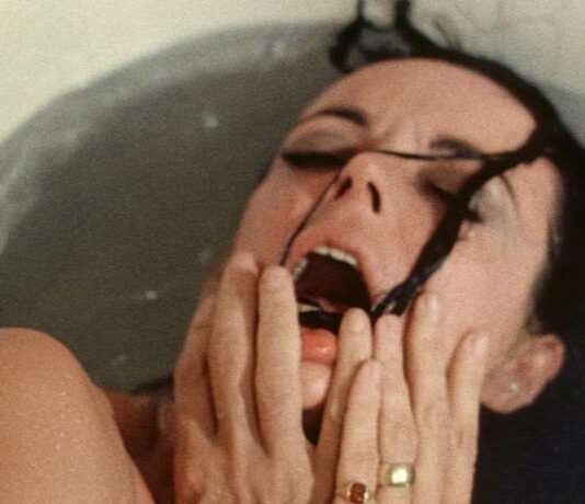 Film da vedere, amazon prime video, cinema d'autore, david cronenberg, il demone sotto la pelle