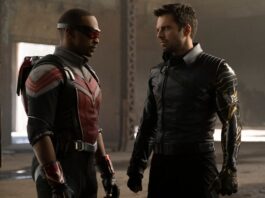 The Falcon and the Winter Soldier