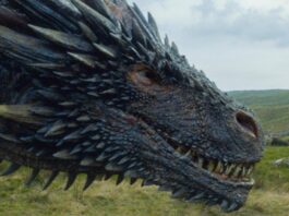 house of the dragon