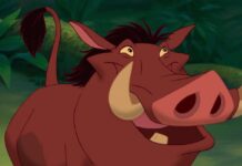 il re leone, pumbaa, ernesto brancucci