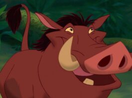 il re leone, pumbaa, ernesto brancucci