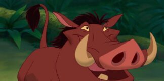 il re leone, pumbaa, ernesto brancucci