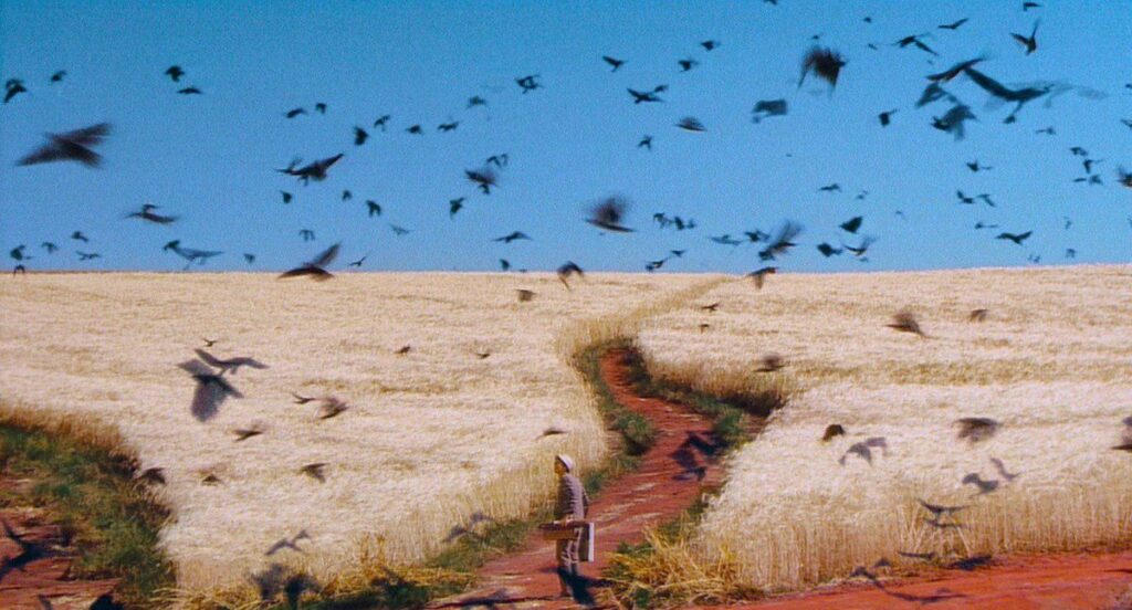 Sogni, Akira Kurosawa