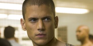 Wentworth Miller, Prison Break