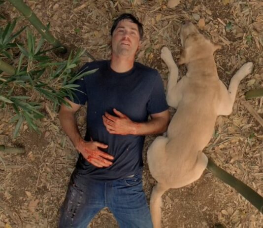 lost