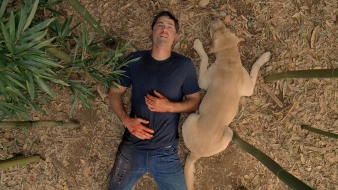 lost