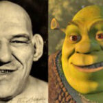 shrek_tillet