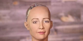 sophia