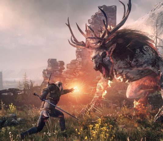 the witcher 3