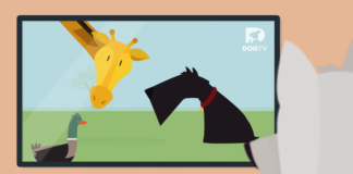 dogtv