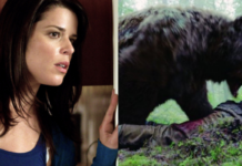 neve campbell, orso