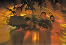 Animal Collective