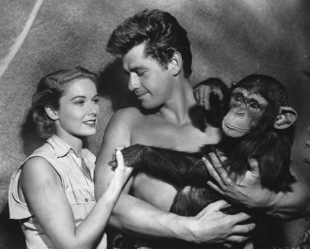 Cita; Tarzan; Scimmie
