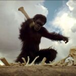 monkey