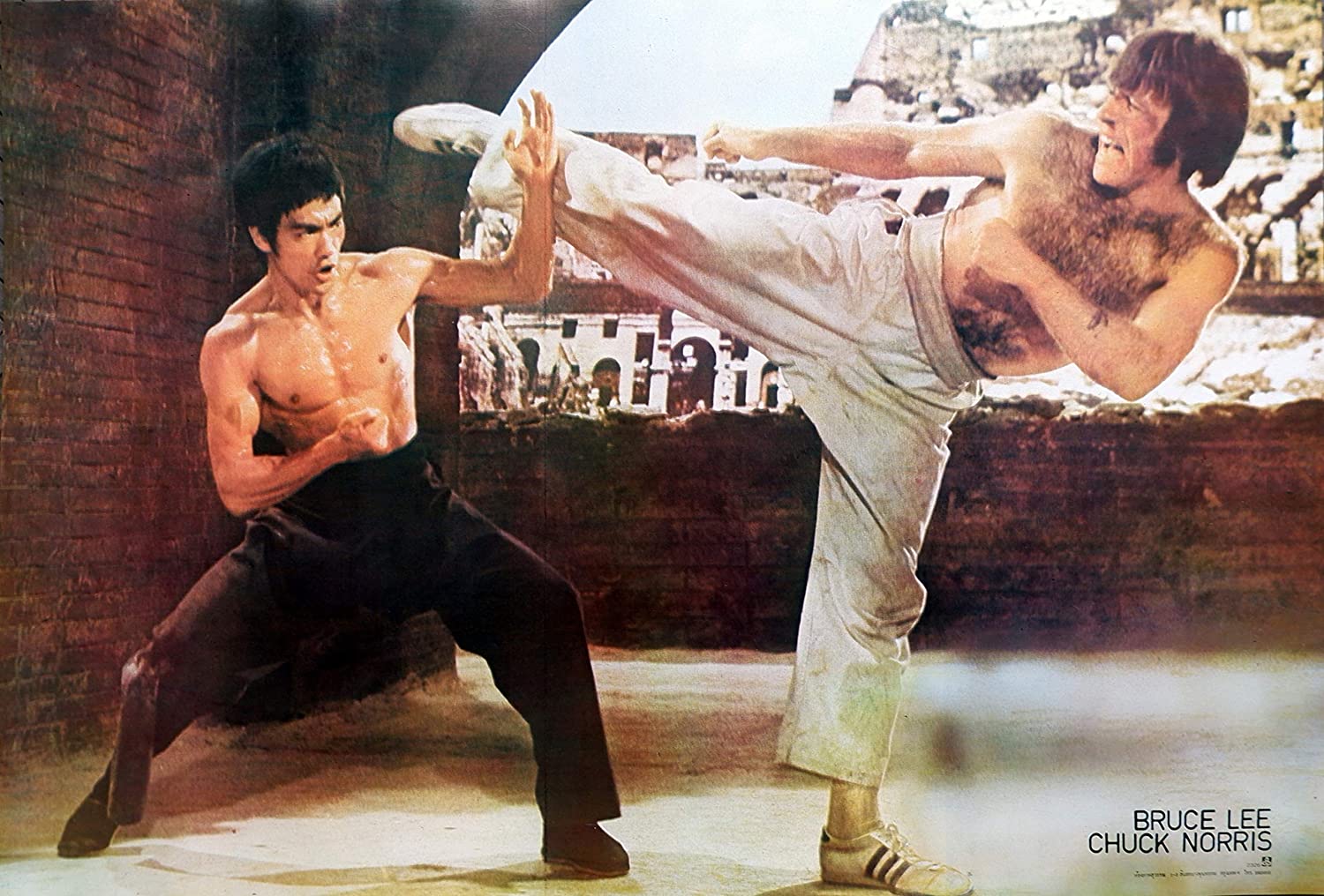 Chuck Norris; Bruce Lee