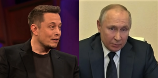 Elon