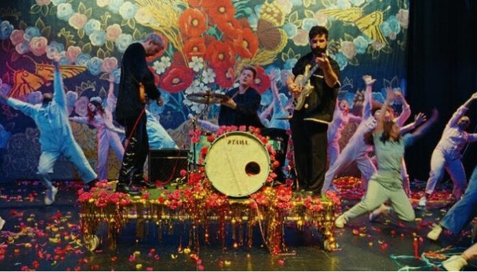 Foals