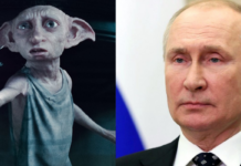 harry potter, dobby, putin