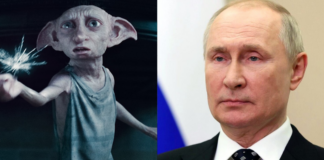 harry potter, dobby, putin