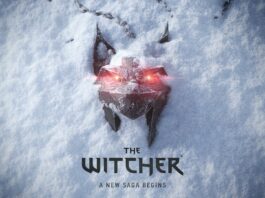 the witcher