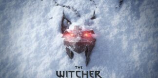 the witcher