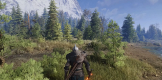 Witcher