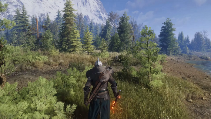 Witcher