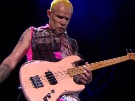 Flea