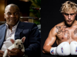 Mike Tyson, Jake Paul