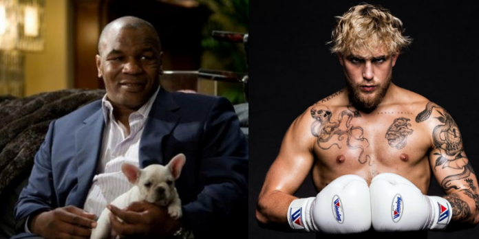 Mike Tyson, Jake Paul