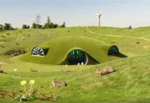 I Teletubbies