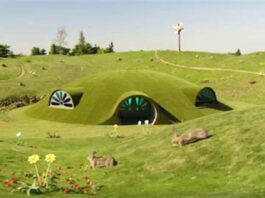 I Teletubbies