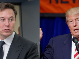 elon musk, donald trump