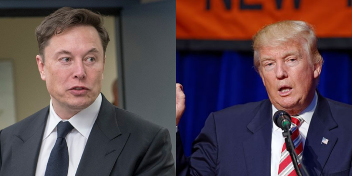 elon musk, donald trump