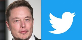 elon musk, twitter