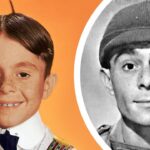 Carl switzer