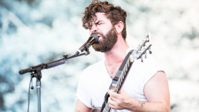 Foals