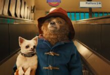 paddington