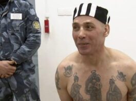Vladimir