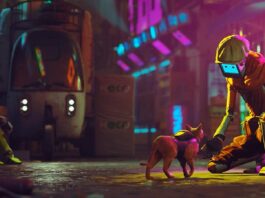 stray