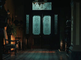Cabinet of Curiosities