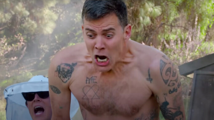 Steve-O, Jackass