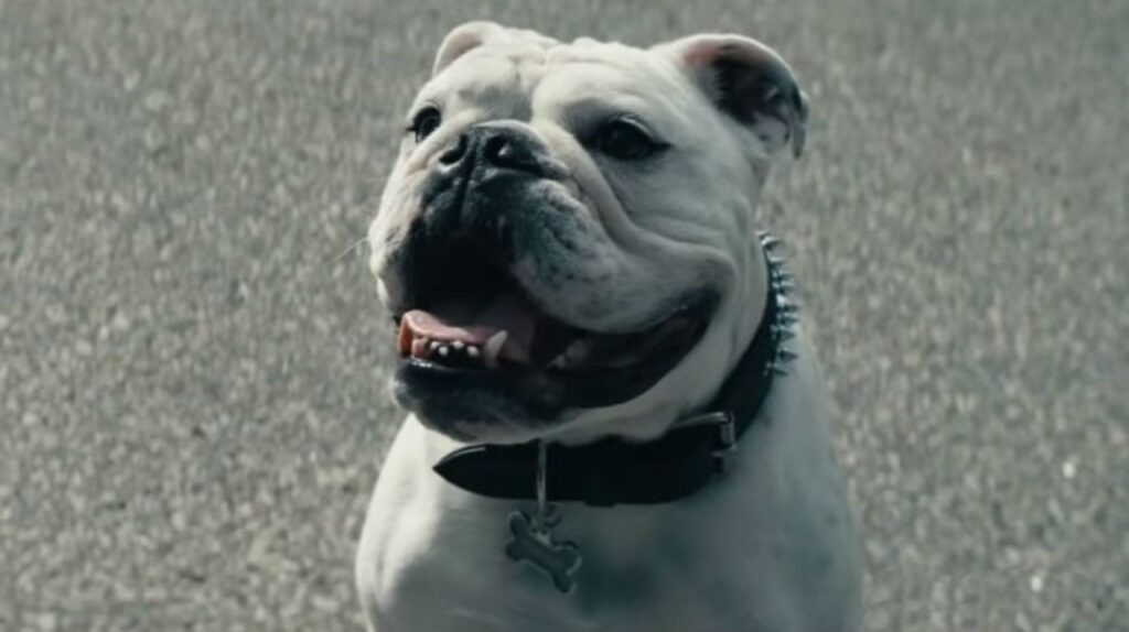 the boys karl urban confirms butchers dog terror in season 2 1209461 1280x0 1
