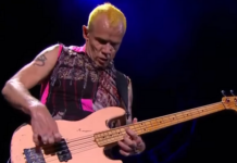 Flea