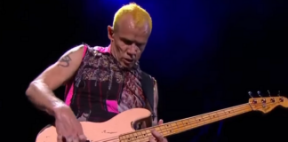 Flea