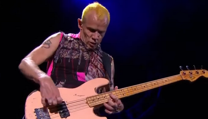 Flea