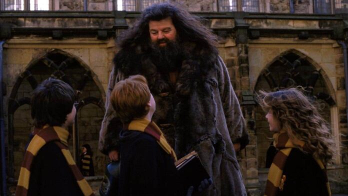 harry potter