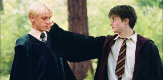 harry potter, draco