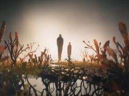 The Last of Us